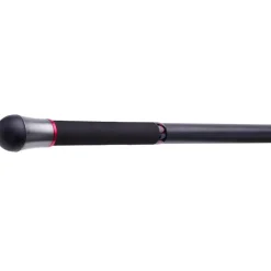 Daiwa Canne Surf Téléescopique Emblem Surf Type R