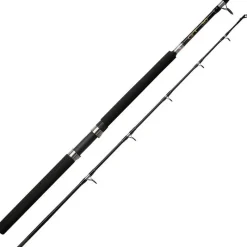 Abu Garcia Canne Traine Gt Trolling