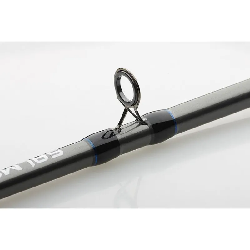 DAM Canne Traine Salmonizer Planer