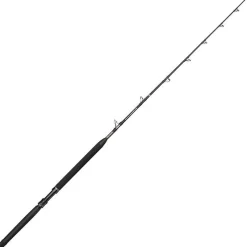 Penn Canne Traîne Marine Brigade Trolling Rod
