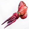 Gaby Coussin Calamar