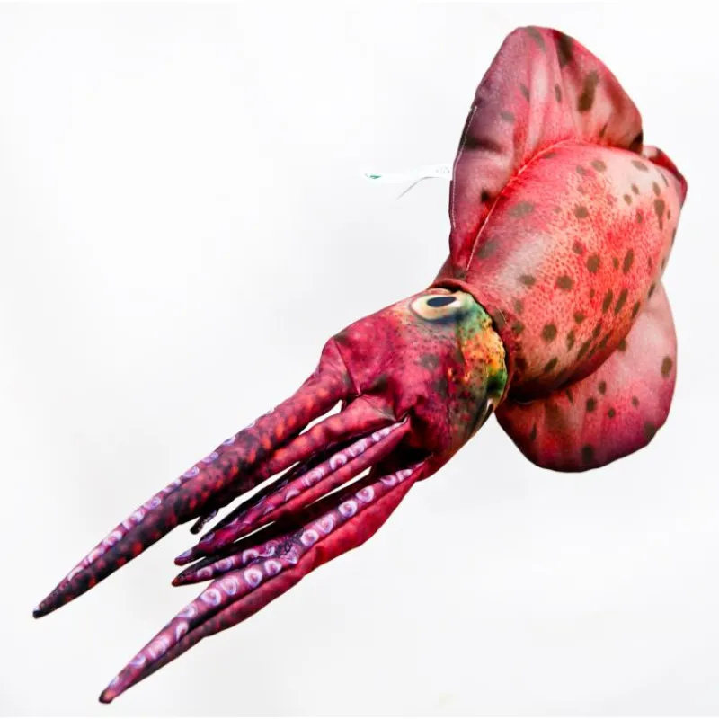 Gaby Coussin Calamar