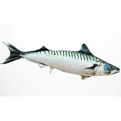 Gaby Coussin Maquereau Atlantique