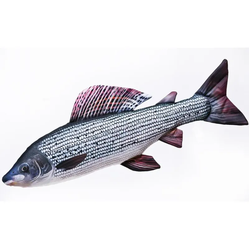 Gaby Coussin Ombre