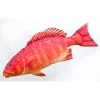 Gaby Coussin Truite De Corail