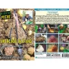 Vidéotel Dvd - Amorçage En Etang : Coup, Anglaise Et Feeder Avec Jean Desque - Peche Au Coup - Video Peche