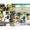 Vidéotel Dvd - Special Peche De La Carpe C'est Ça La Peche Avec John Llewellyn