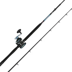 Penn Ensemble Traîne Warfare Ii Level Wind Boat Combo
