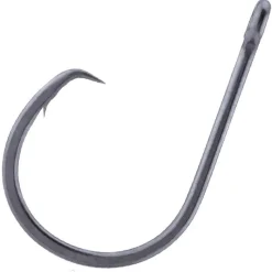 BKK Hameçon Simple Ss Inline Heavy Circle