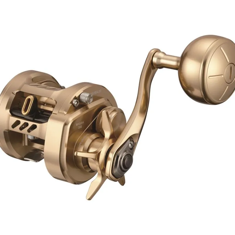Daiwa Moulinet Casting Basara 21