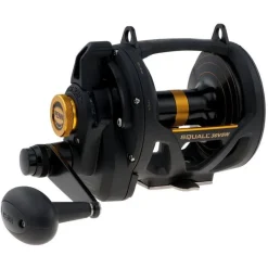 Penn Moulinet Mer Traine Squall Lever Drag 2 Speed