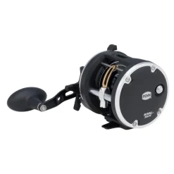 Penn Moulinet Traine Rival Level Wind
