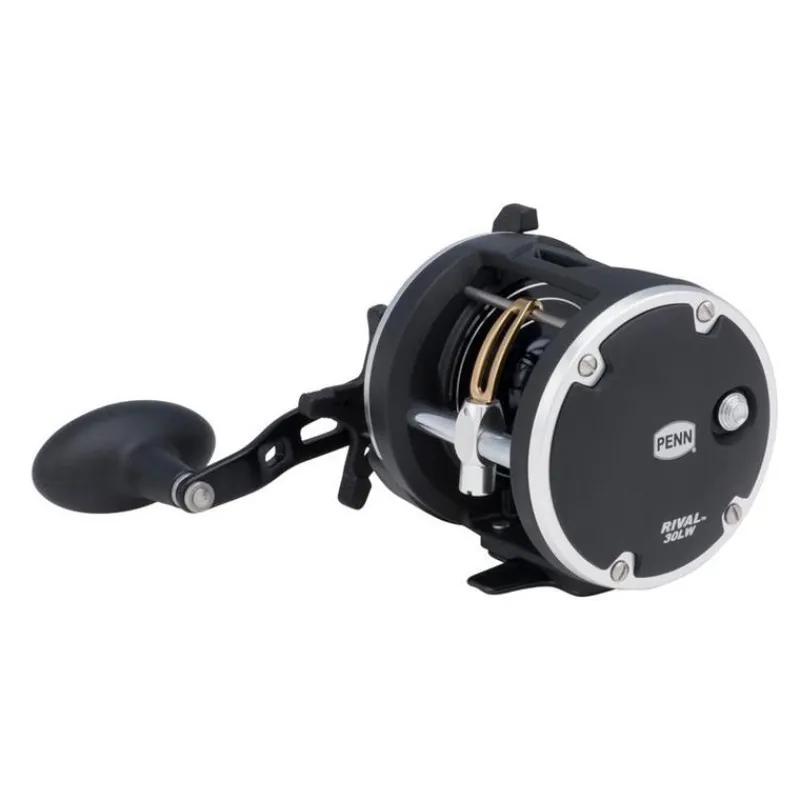 Penn Moulinet Traine Rival Level Wind