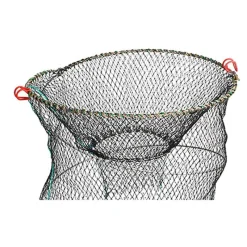 Amiaud Nasse A Poisson Repliable