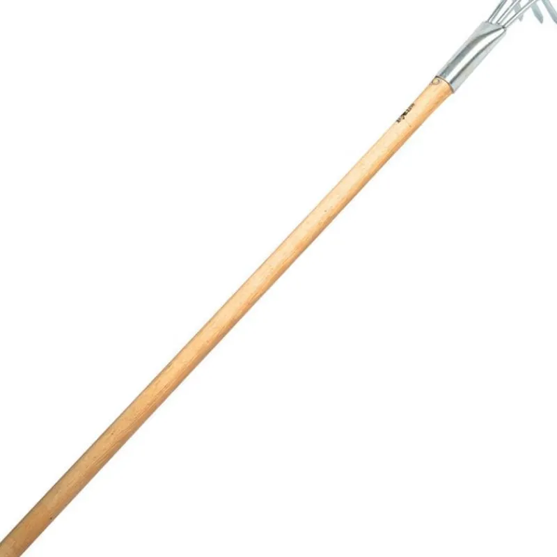 Ragot Palourdiere 3 Dents