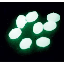 Vercelli Perle Dure Ovales Lumineuses