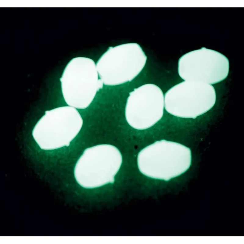 Vercelli Perle Dure Ovales Lumineuses