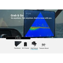 Accuphy Sonde Live Pinglive Mini