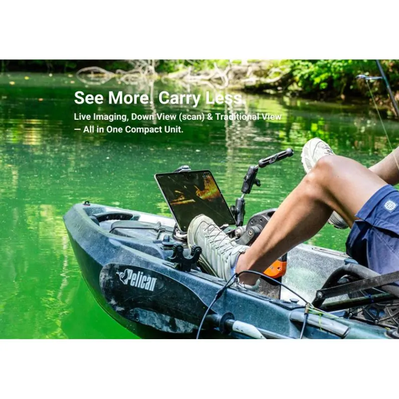 Accuphy Sonde Live Pinglive Mini