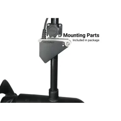 Accuphy Sonde Live Pinglive Mini