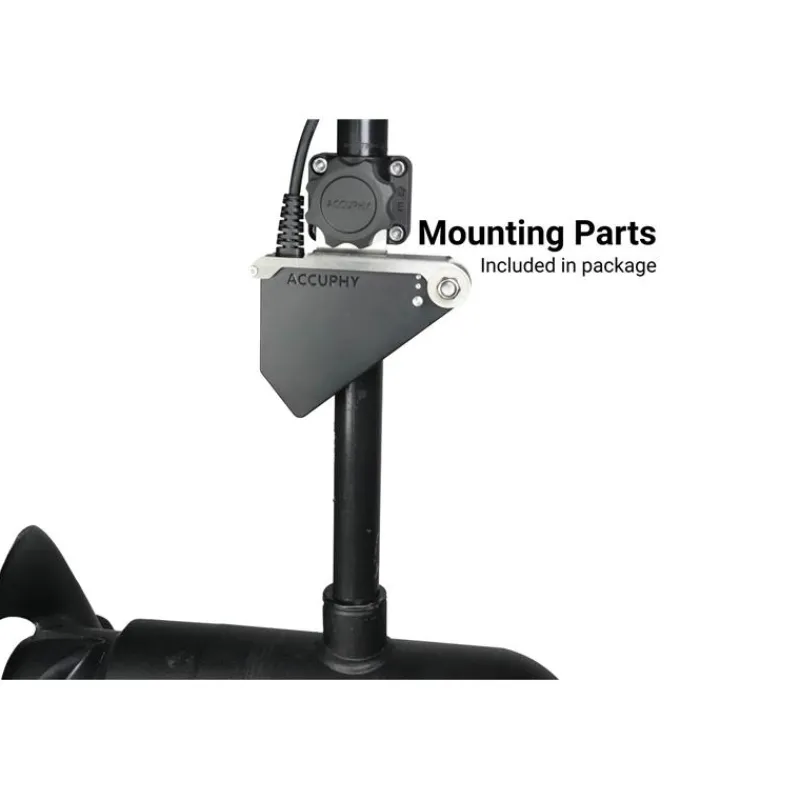 Accuphy Sonde Live Pinglive Mini