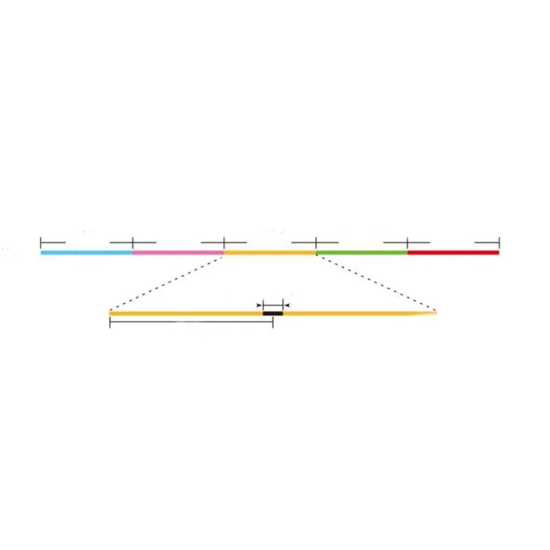 Sunline Tresse Fun Boat - 200M
